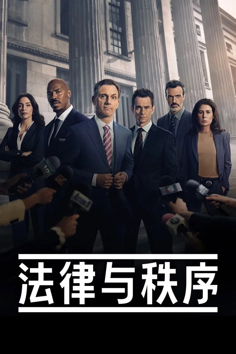 法律与秩序海报