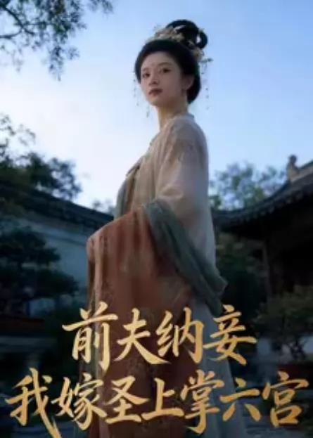 前夫纳妾，我嫁圣上掌六宫